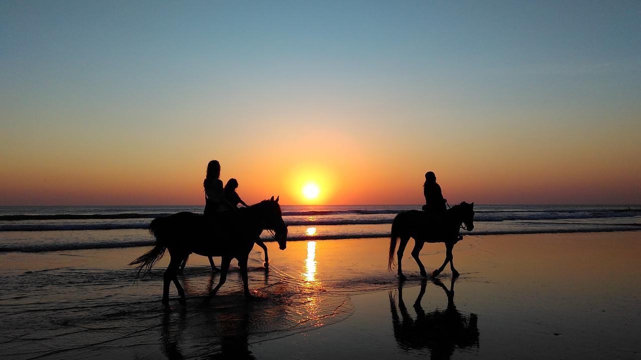 Santa Monica Hospedaria Praia do Rosa Dış mekan fotoğraf